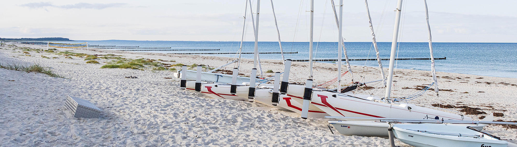 Naturschönheiten auf der Insel Hiddensee entdecken