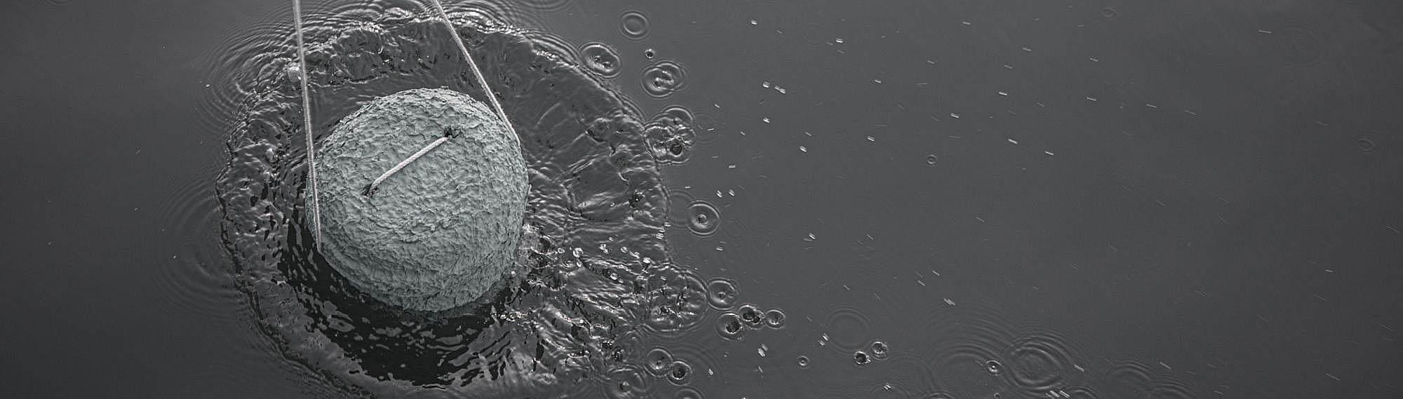 Stille Seebestattungen ab Hafen Stralsund in die Prohner Wiek