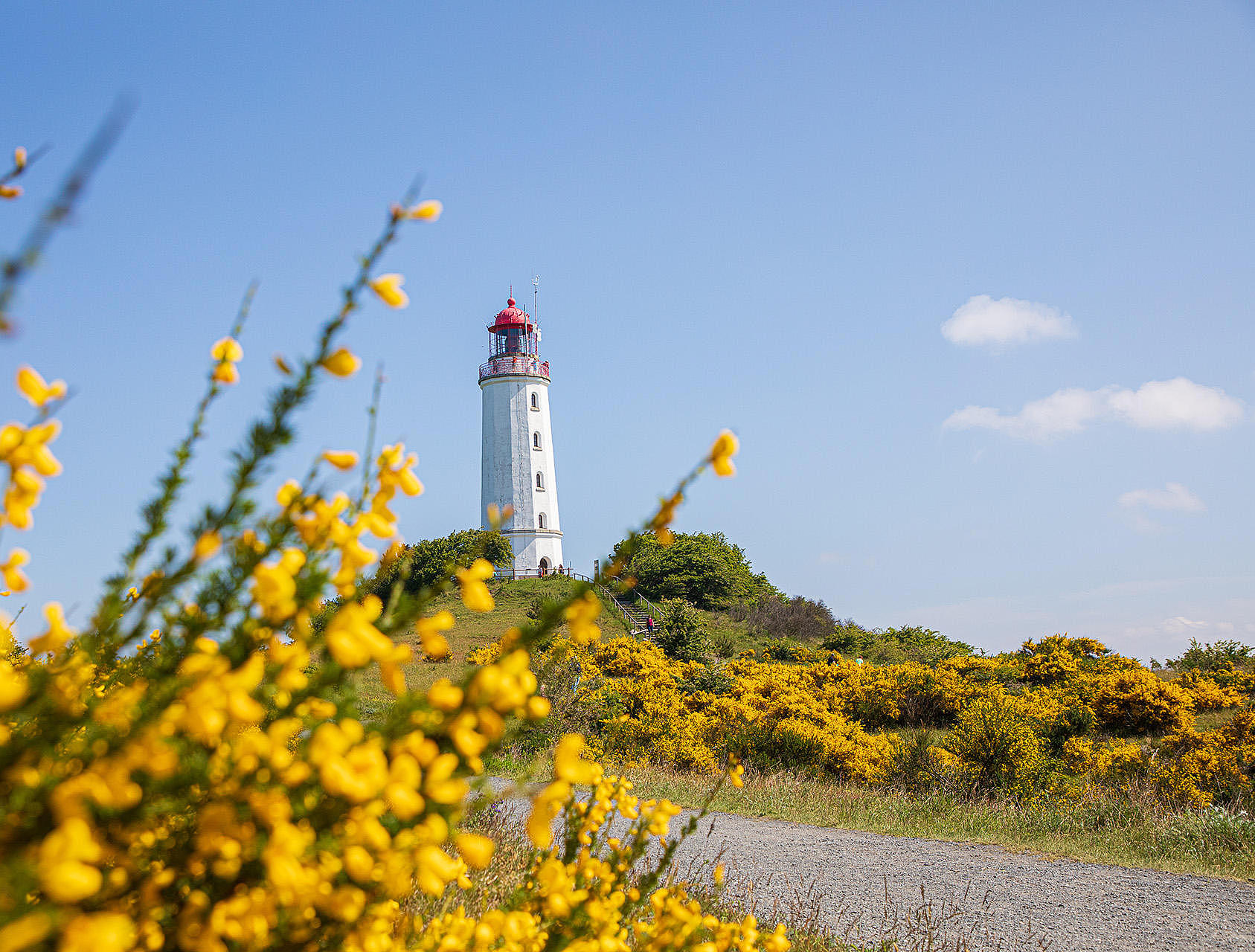 Leuchtturm Dornbusch